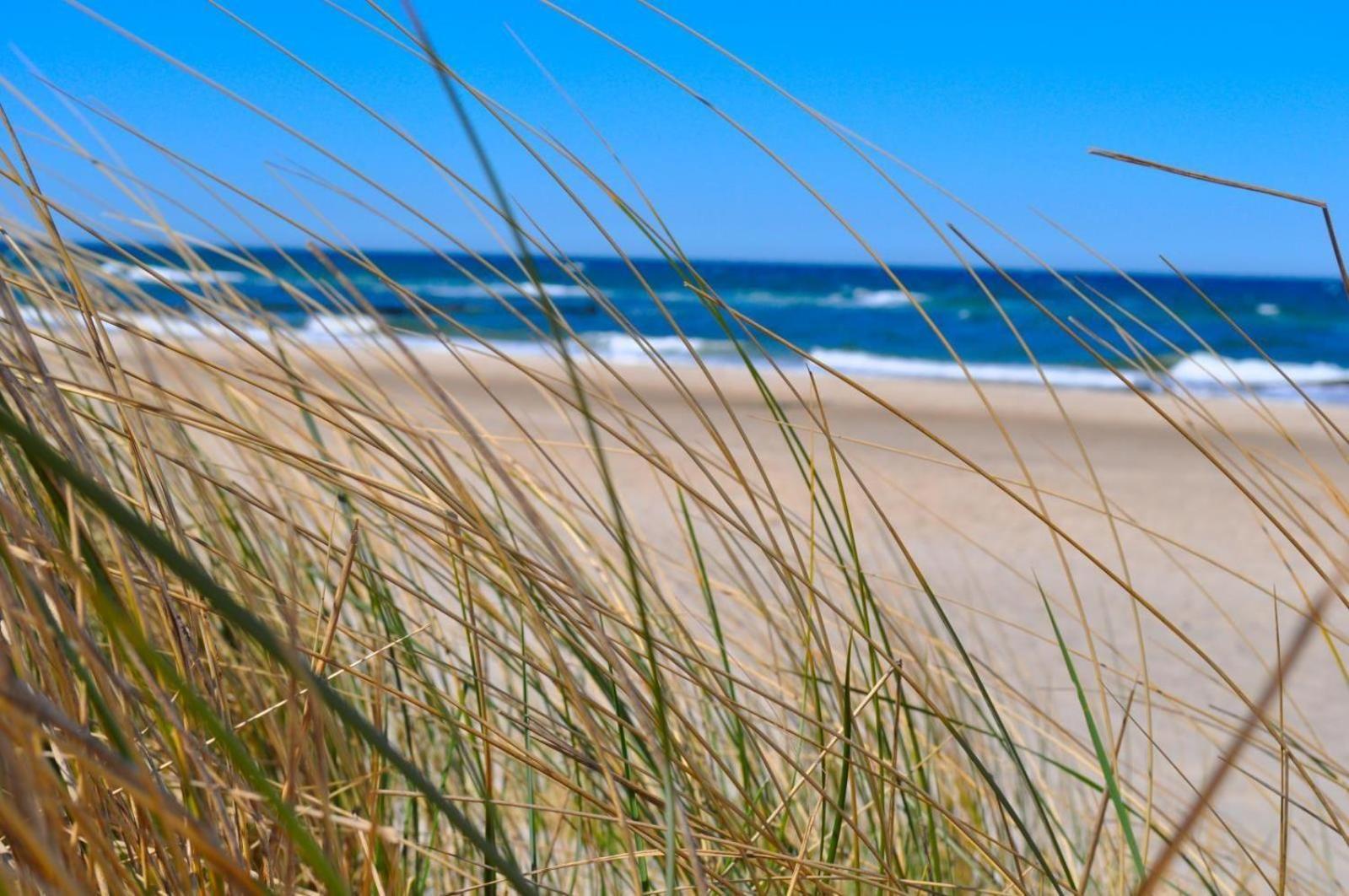 Ferienwohnung 07 Ringel Ostseebad Kühlungsborn Exteriér fotografie